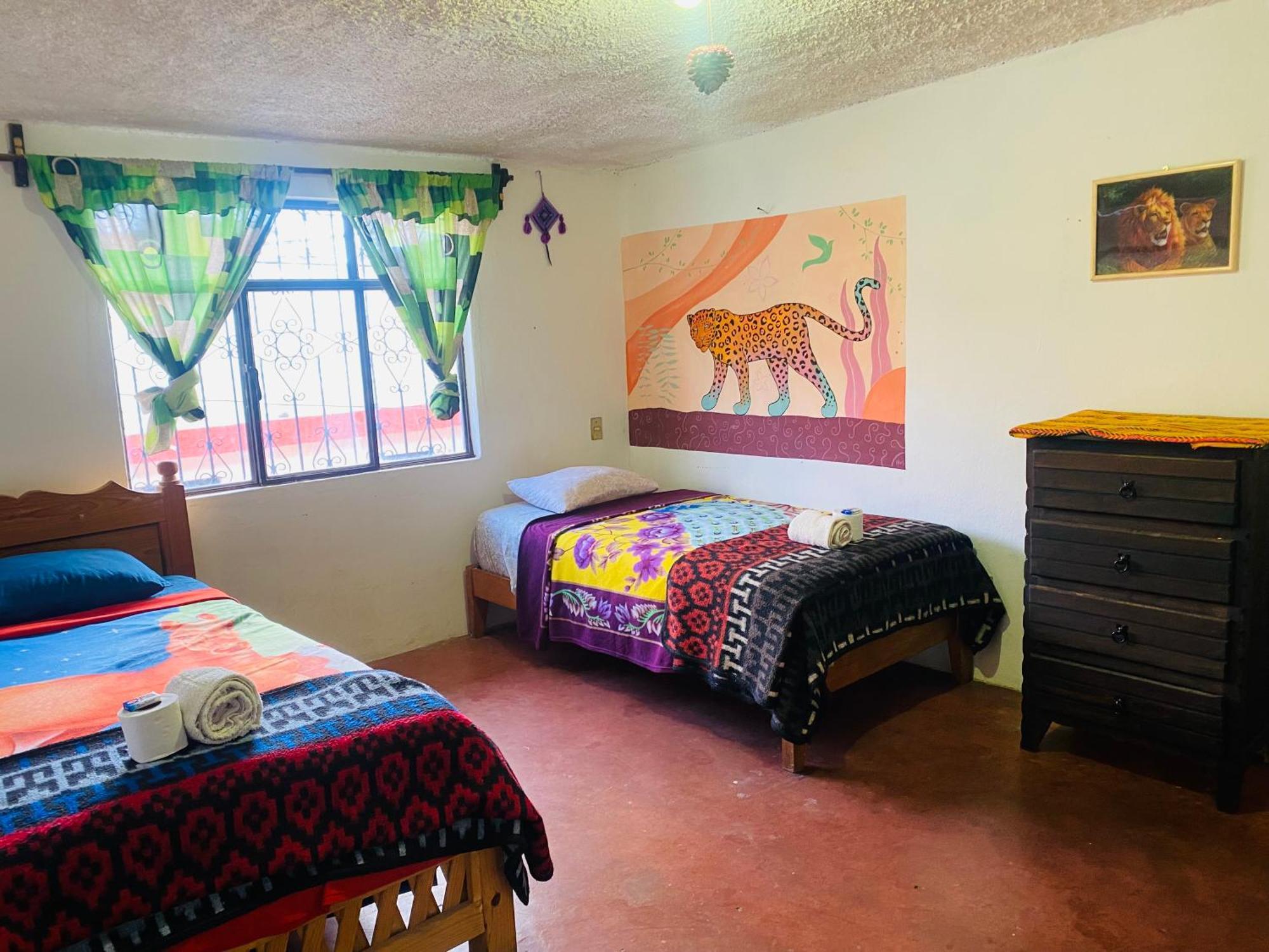 Casa De Los Colores San Cris San Cristóbal de Las Casas 外观 照片